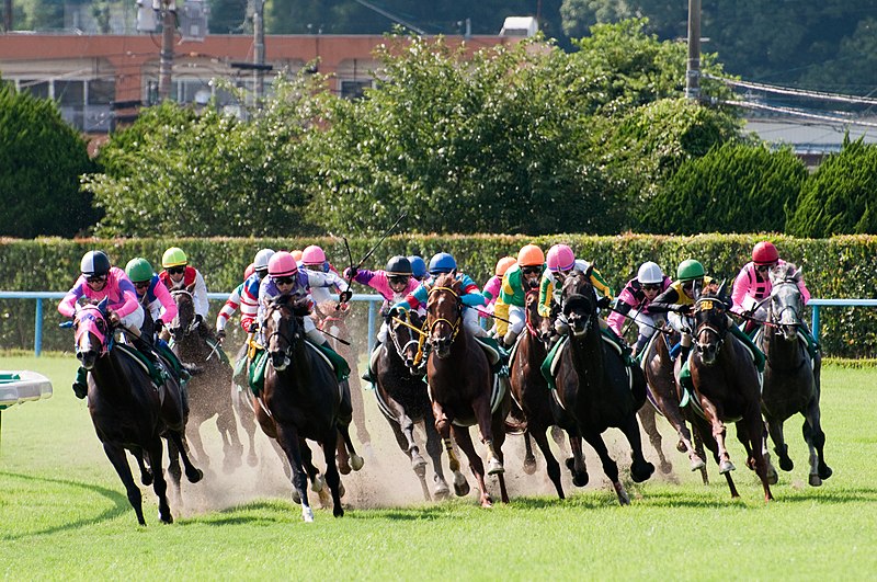 競馬の話